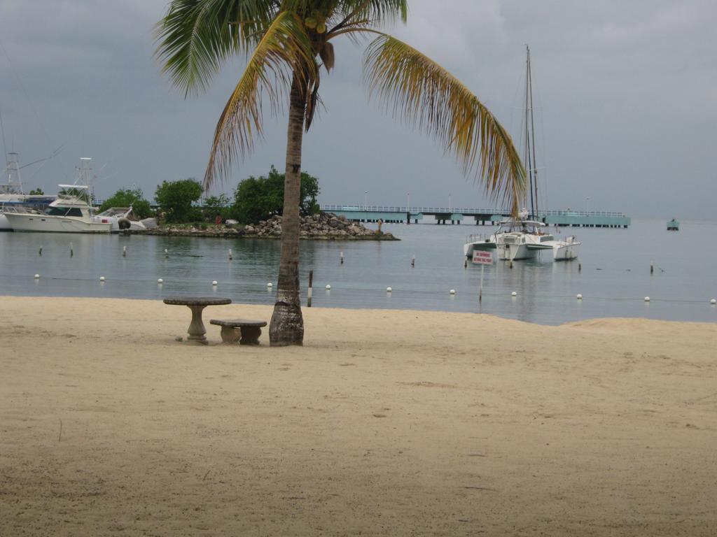 Marchabell By The Sea E22 Lägenhet Ocho Rios Rum bild